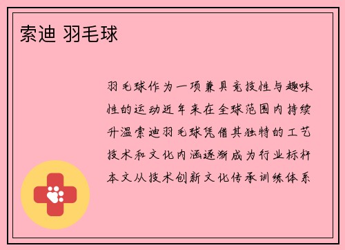 索迪 羽毛球