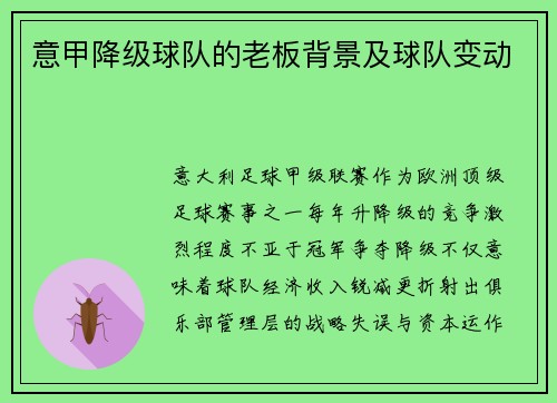 意甲降级球队的老板背景及球队变动