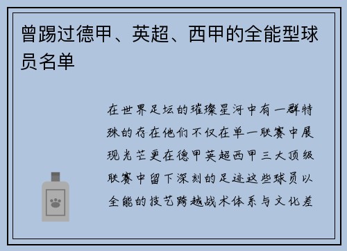 曾踢过德甲、英超、西甲的全能型球员名单